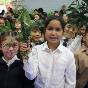 Celebración de Ramos
